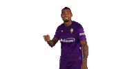 Football Yes Sticker by ACF Fiorentina
