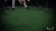 Tulane Rollwave GIF by GreenWave