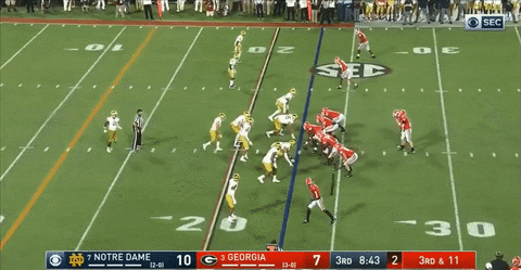 theriotreport giphyupload GIF