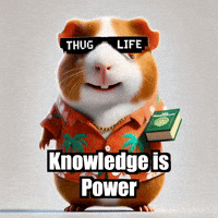GIF by Guinea Gambino