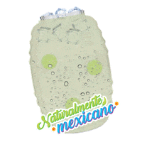 Mexico Limonada Sticker by Klass Aguas Frescas
