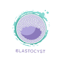 Blastocyst Sticker by Advanced Fertility Center Cancun