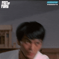 Martial Arts Fight GIF by Arrow Video