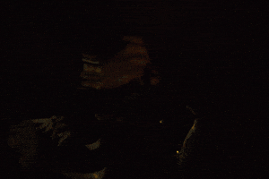 Set Fire Burn GIF by CanFilmDay