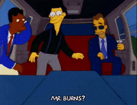Looking Season 3 GIF by The Simpsons