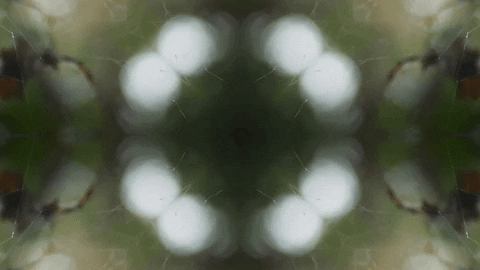 Art Love GIF by jorgemariozuleta
