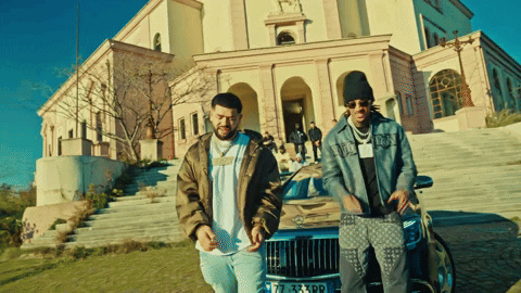 Eagle Albania GIF by D-Block Europe