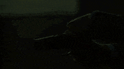 ben mckenzie detective gordon GIF by Gotham