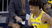 GIF by Michigan Athletics