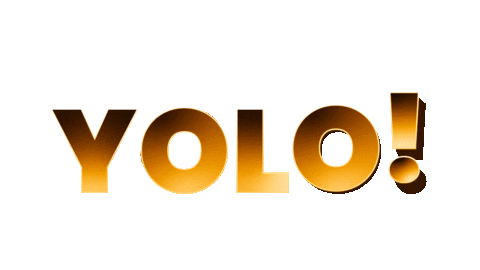 jagadishramesh giphyupload yolo Sticker