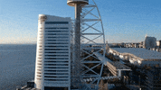 drone lisbon GIF by For 91 Days