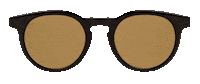 Try On Dan Levy Sticker by DL Eyewear