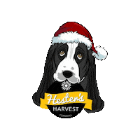 Trevozah honey bees harvest devon Sticker