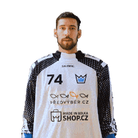 Floorball Bauer Sticker by Český florbal