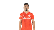 Vamointer Diadeinter Sticker by Sport Club Internacional