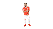Vamointer Diadeinter Sticker by Sport Club Internacional