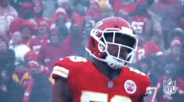 2018 Nfl Football GIF by NFL