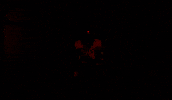 Zech Mcphearson GIF by Texas Tech Football