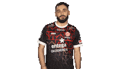 Mainz 05 Sweat Sticker by Bundesliga