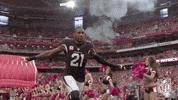 Arizona Cardinals Football GIF by NFL