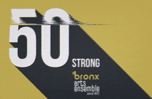 Bronxartsensemble bae bronx arts ensemble bronx arts baegala GIF