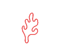 coralstudio ocean sea marine coral Sticker