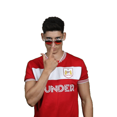 ashton gate summer Sticker by Bristol City FC
