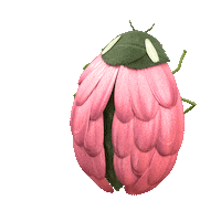 Jurlique nature artist skincare rose Sticker