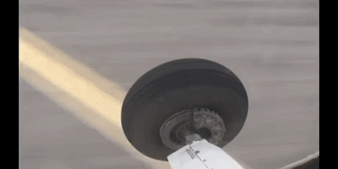Wheels GIF by DIIMSA Stock