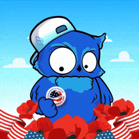 Memorial Day Crypto GIF by BigBrains