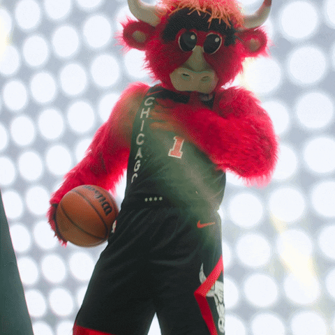 Benny The Bull Sport GIF by Chicago Bulls