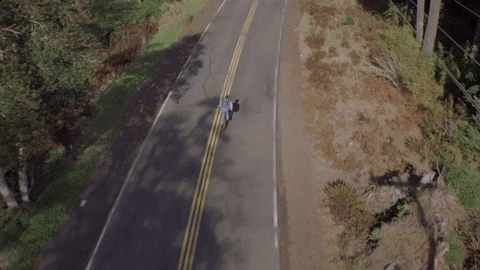 GIF by Paranoiia Productions