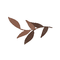 Leaf Sticker