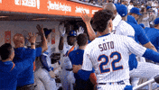 Celebrate Home Run GIF by New York Mets