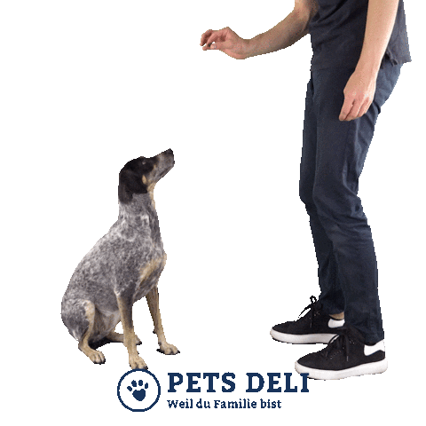 Dog Food Sticker by Pets Deli