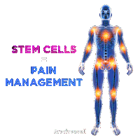Stem Cell Sticker by Revive A Cell Therapeutics