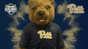 Happy College Sports GIF by College Colors Day