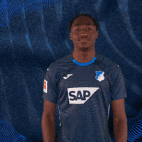 Sport Bundesliga GIF by TSG Hoffenheim