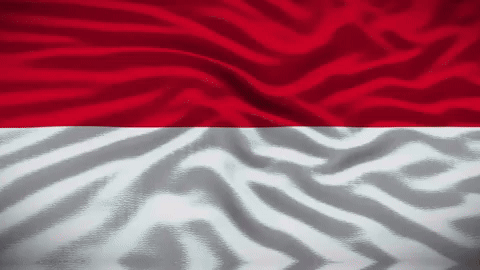 Puteri Indonesia GIF