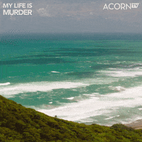 My Life Is Murder Summer GIF by Acorn TV Latin America