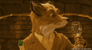 Wes Anderson Animation GIF by 20th Century Fox Home Entertainment