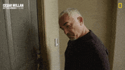 Dogwhisperer GIF by National Geographic Channel