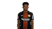 flipping bayer leverkusen Sticker by Bundesliga