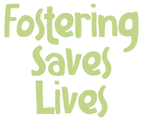 Foster Sticker by Amina