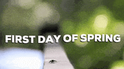 Happy Green Leaves GIF by JC Property Professionals