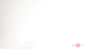 Hot Dog Meat GIF by Applegate