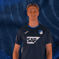 Call Me Sport GIF by TSG Hoffenheim