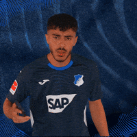 Sport Bundesliga GIF by TSG Hoffenheim