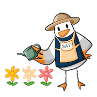 Saffy Sticker by IES Abroad