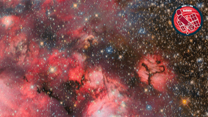 Stars Glowing GIF by ESA/Hubble Space Telescope